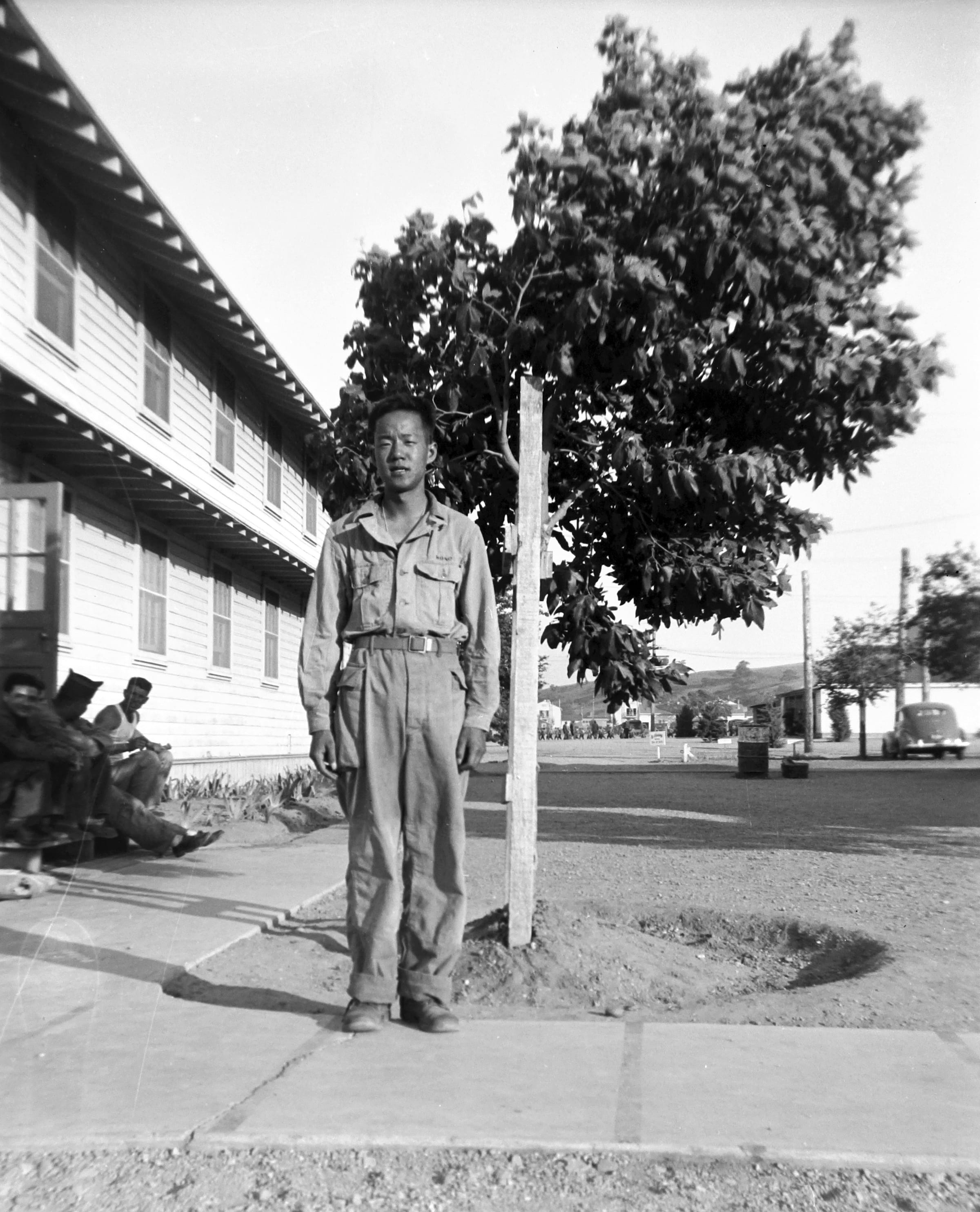 Wayne Wong archive photograph 10